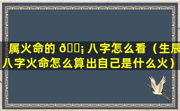 属火命的 🐡 八字怎么看（生辰八字火命怎么算出自己是什么火）